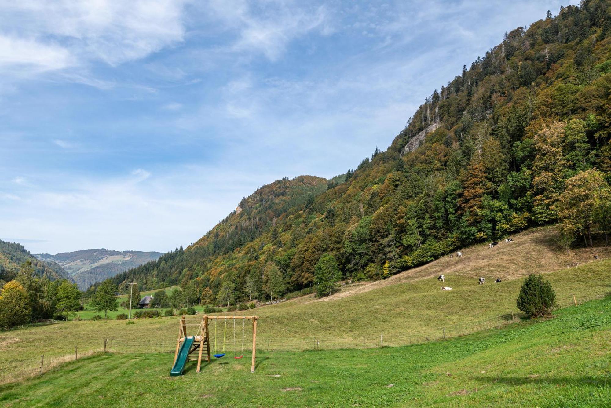 Gasthaus Zur Linde- Napf Oberried Kültér fotó