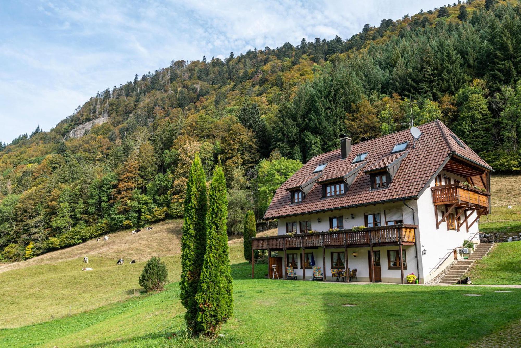 Gasthaus Zur Linde- Napf Oberried Kültér fotó
