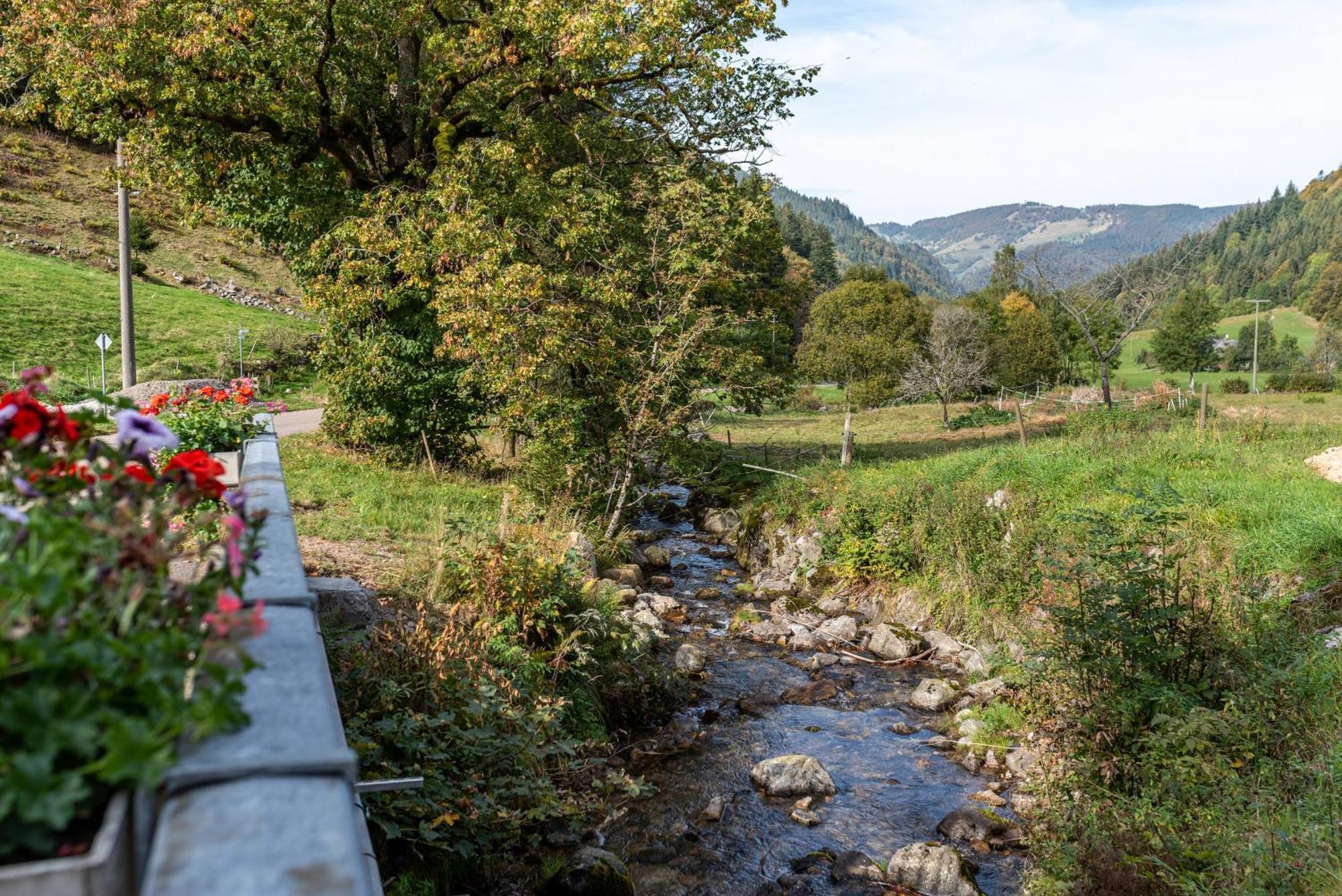 Gasthaus Zur Linde- Napf Oberried Kültér fotó